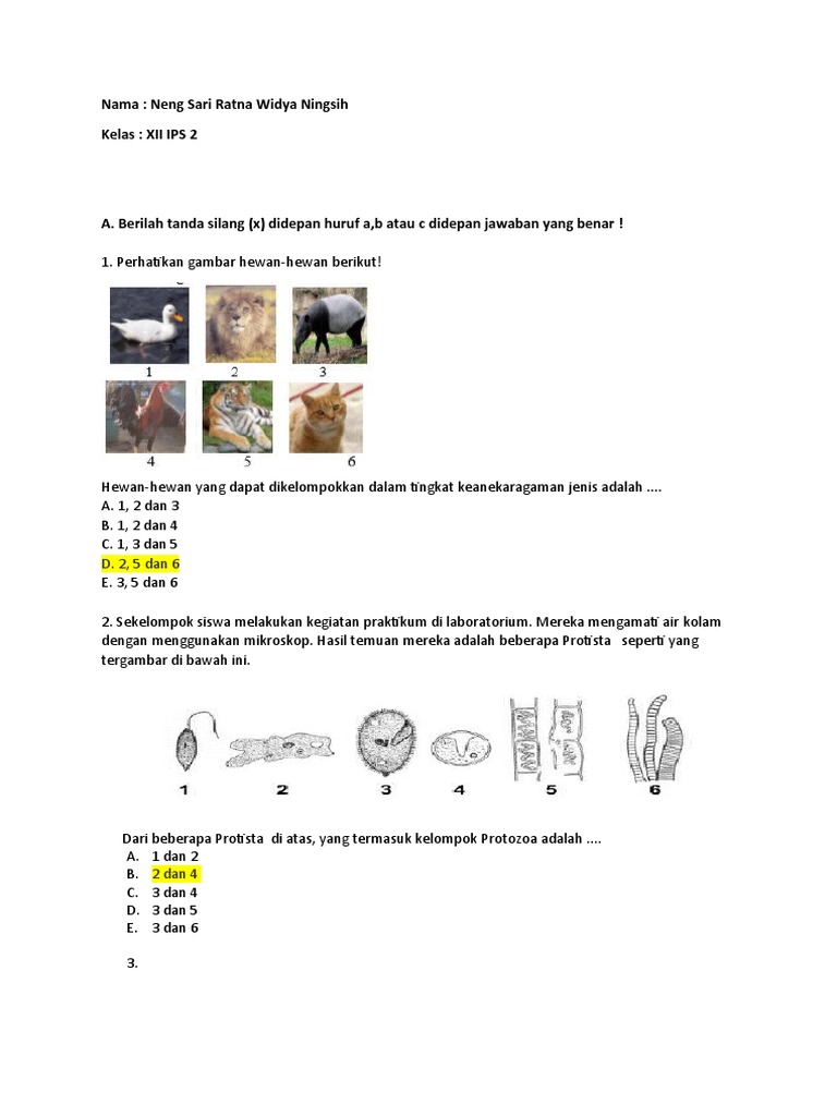 Soal Latihan Us Biologi