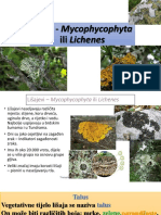 Lišaji - Mycophycophyta Ili Lichenes