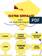 Sistem Sirkulasi