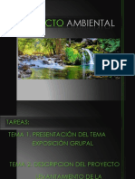 IMPACTO AMBIENTAL 