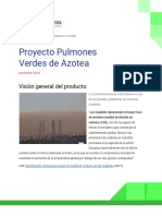 proyecto Pulmones Verdes (1)