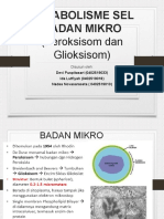 PPT Kelompok 5 Badan Mikro