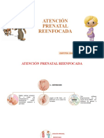 Atención Prenatal Reenfocada