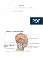 Nervous System Worksheet