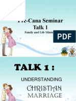 Pre-Cana Seminar Talk 1: Family and Life Ministry