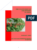 The Cultivation of Strawberry in Japan.pdf