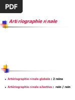 ARtério rénale