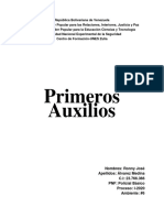 Álvarez Primeros Auxilios PDF