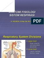 Sistem Respirasi