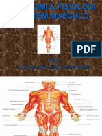 Anatomi & Fisiologi Sistem Musculoskeletal