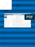 LaboratorCEF_Dziuzenschi_Stefan_8214.pdf