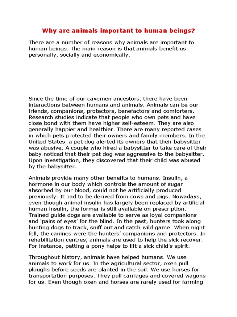 Why Are Animals Important To Human Beings? PDF Pet Dogs