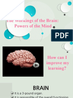 The Workings of The Brain: Powers of The Mind