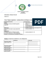 Proba Practica X 2017