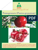 Pomegranate Agro-Climatic Conditions and Varieties