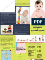 Triptico Psicomotricidad