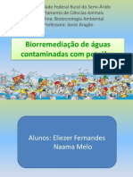 Biorremediação de águas contaminadas com petróleo