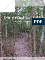 Erros Por Caminhos e Escolhas - Gustavo Souza - PqGustavo.blogspot