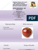 Trabajo Práctico - Wa Aymara PDF