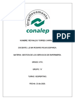 Descripción de elementos para la evaluación y control en los servicios de enfermería Y MAPA DE PROCESOS. RTC.       (22-04-2020)