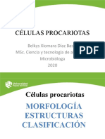 Células Procariotas - Características Fisiológicas