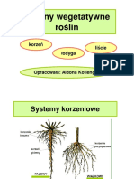 Organy Wegetatywne Roslin PDF