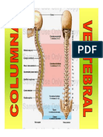 dolor lumbar (2)