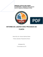 informe-final-procesos-de-fusion-v2