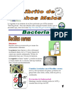 librito_de_bichos_malos.pdf