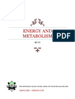 Energy and Metabolism - Simplified