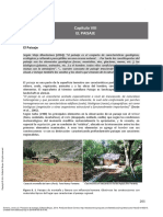 FontanaCapitulo8 Paisaje PDF