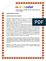Aires Del Coatan PDF