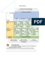 Rúbrica Análitica