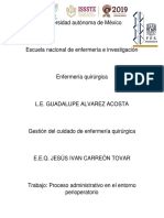 Ensayo gestión proceso