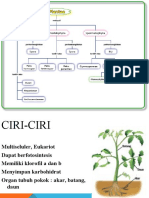 BAB 7 PLANTAE