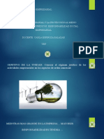 La Actividad Empresarial y La Proteccion Al Medio Ambiente