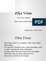 Zika Virus: Causative Agent Flavi Virus/Arbo Virus