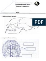 EXAMEN MENSUAL ciencia y ambiente  mayo.docx