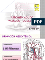 abdomen agudo vascular