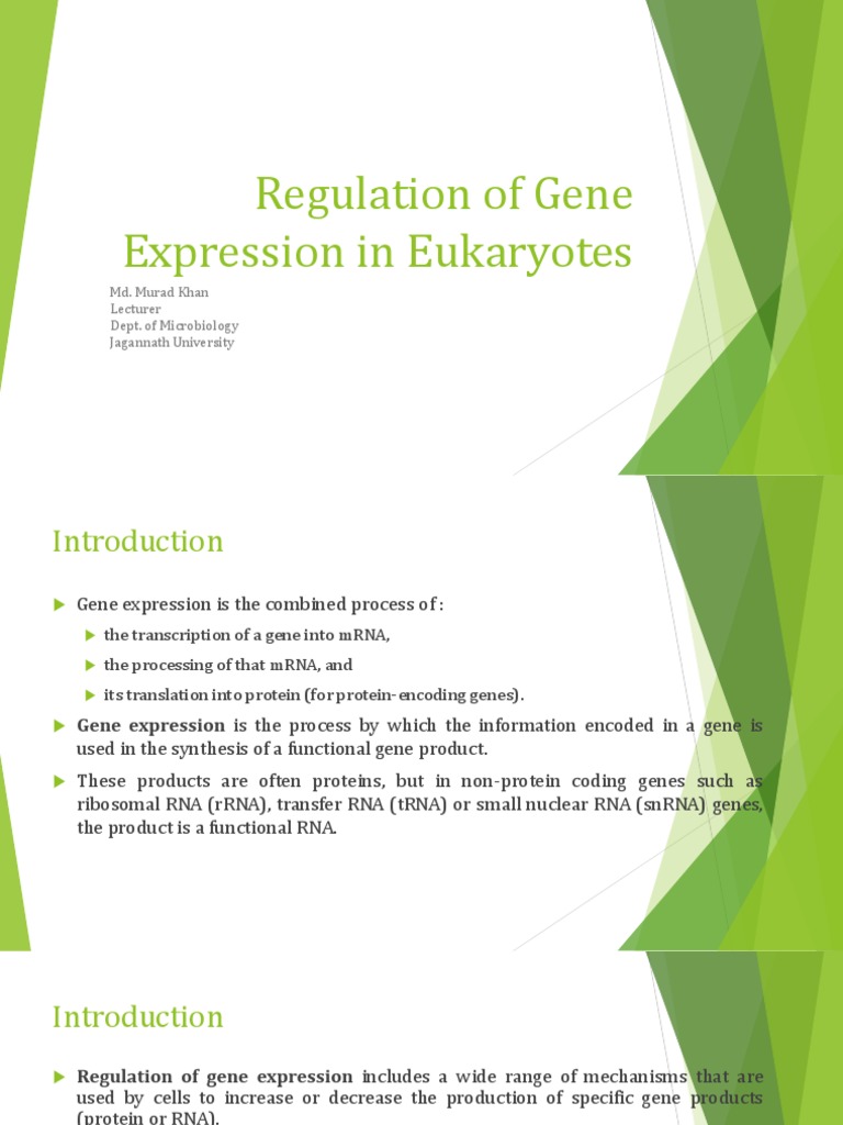 Regulation of Gene Expression in Eukaryotes Md. Murad Khan Lecturer Dept. of Microbiology