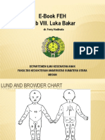 E-Book FEH Bab VIII. Luka Bakar: Dr. Ferry Hadinata