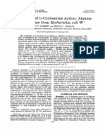 D-Cycloserine Racemase Escherichia: Mechanism of Action: From Coli WV