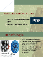 Familia Papoviridae: Genul Papillomovirus HPV Human Papilloma Virus