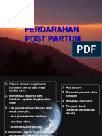 PP-PERDARAHAN