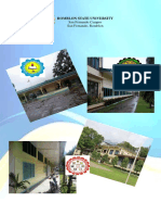 San Fernando Manual PDF