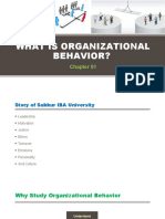Chapter 01- Organizational Behavior