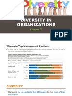 Chapter 02- Diversity on Organizations