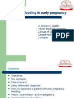 Vaginal Bleeding Early Pregnancy Causes Diagnosis Treatment