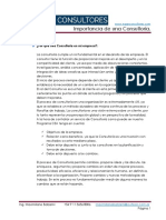 Importancia_de_una_Consultoría.pdf