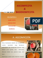 Ascomycota Dan Basidiomycota Kel 6